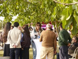 Festival Mar de Tethys 2026 - Bodega Vetas